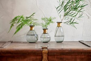 3 decorative glass vases in a row with fern leaves for interiors features